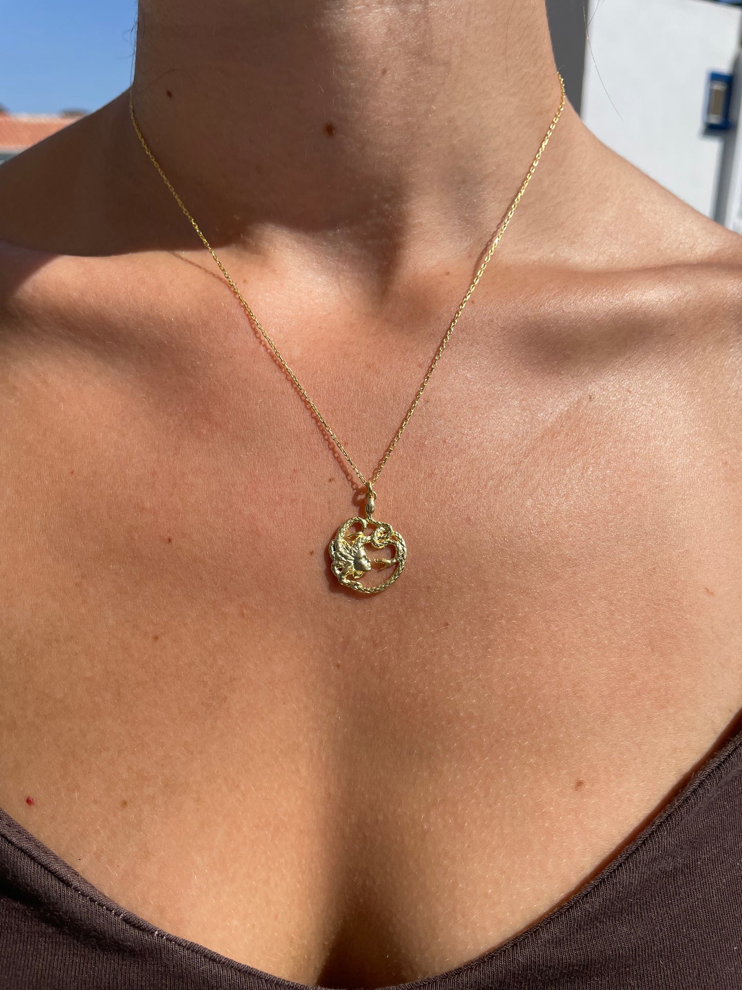 Medusa Yılan Kolye 14K Altın Kaplama 925 Gümüş Kolye