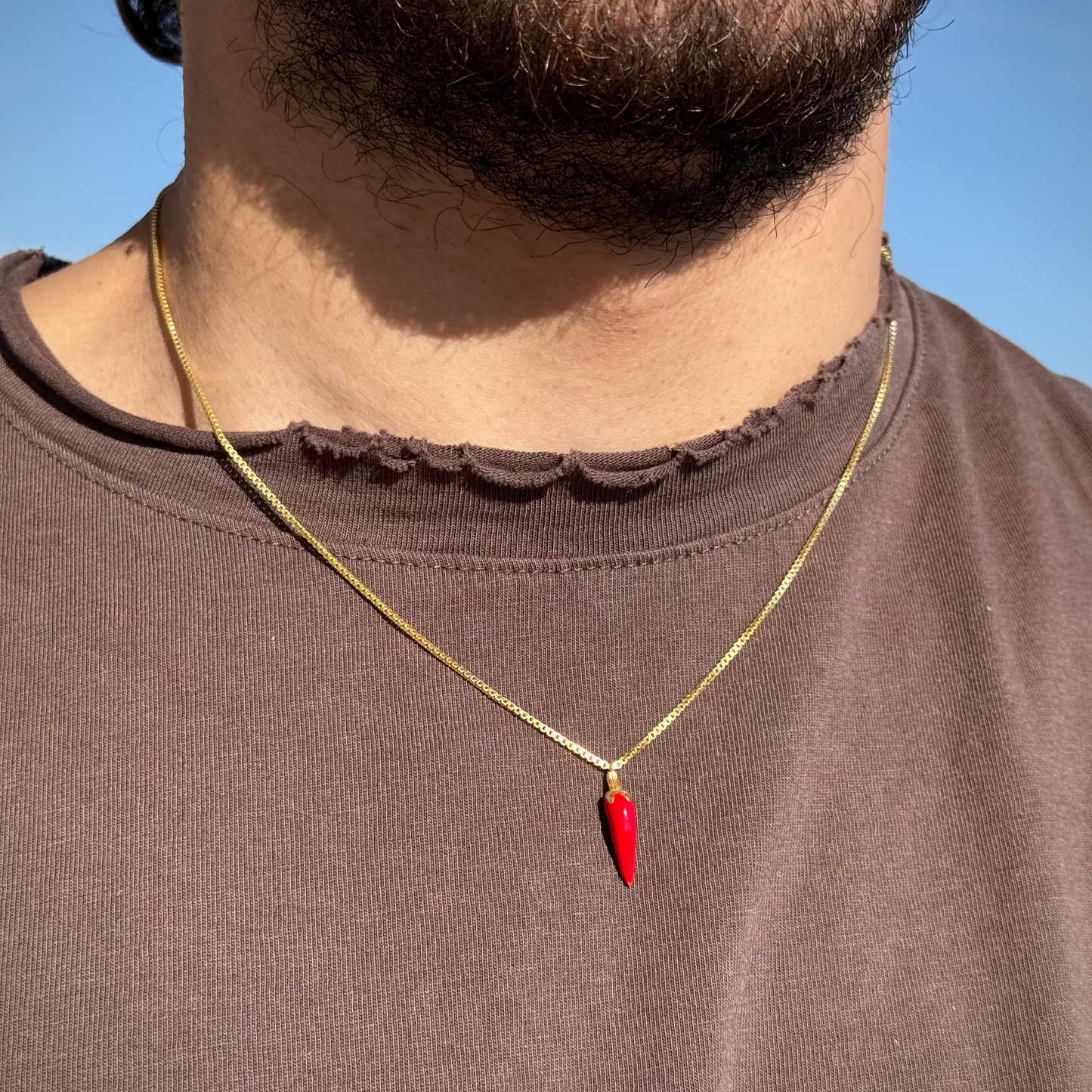 925 Gümüş | Kırmızı Biber Kolye